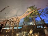 福井県立恐竜博物館に投稿された画像（2025/9/24）