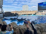 名古屋港水族館に投稿された画像（2025/9/24）