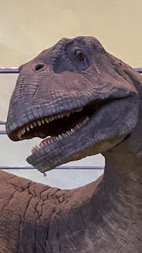 福井県立恐竜博物館に投稿された画像（2025/9/23）