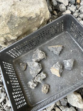 福井県立恐竜博物館に投稿された画像（2025/9/23）