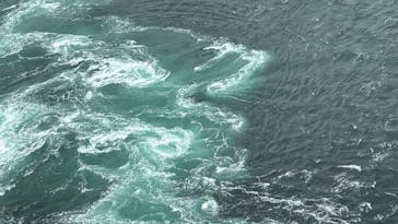 徳島県立 渦の道に投稿された画像（2025/9/23）