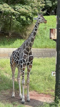 千葉市動物公園に投稿された画像（2025/9/24）