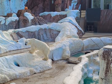 恩賜上野動物園に投稿された画像（2025/9/24）