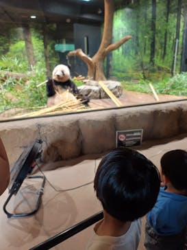 恩賜上野動物園に投稿された画像（2025/9/24）