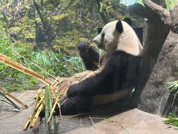 恩賜上野動物園に投稿された画像（2025/9/24）