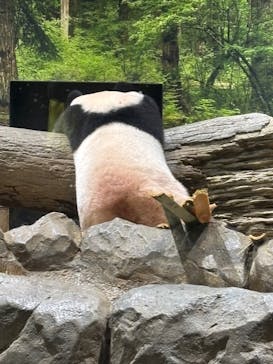 恩賜上野動物園に投稿された画像（2025/9/24）