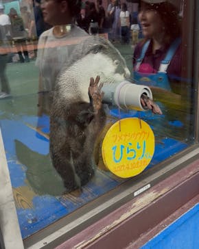 ゼロ距離水族館 伊勢シーパラダイスに投稿された画像（2025/9/24）