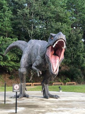福井県立恐竜博物館に投稿された画像（2025/9/24）