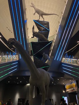 福井県立恐竜博物館に投稿された画像（2025/9/24）