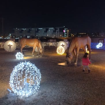 東京メガイルミに投稿された画像（2025/9/24）