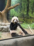 恩賜上野動物園に投稿された画像（2025/9/24）