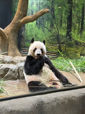 恩賜上野動物園に投稿された画像（2025/9/24）