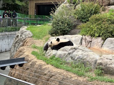 恩賜上野動物園に投稿された画像（2025/9/24）