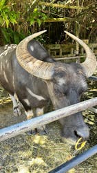 琉球村に投稿された画像（2025/9/24）