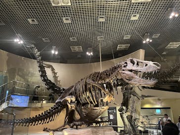 国立科学博物館に投稿された画像（2025/9/24）