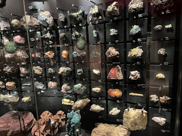 国立科学博物館に投稿された画像（2025/9/24）