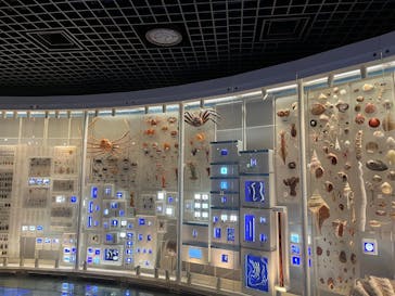 国立科学博物館に投稿された画像（2025/9/24）