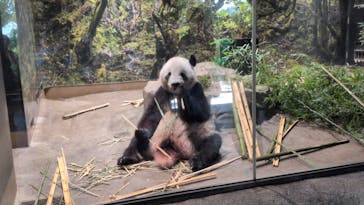 恩賜上野動物園に投稿された画像（2025/9/24）