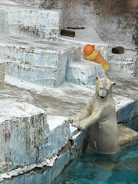 天王寺動物園に投稿された画像（2025/9/24）