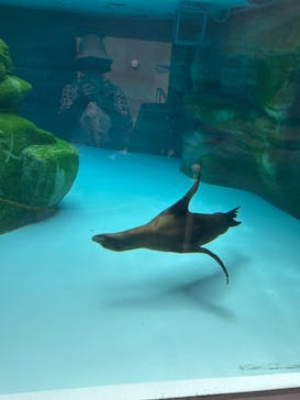 天王寺動物園に投稿された画像（2025/9/24）