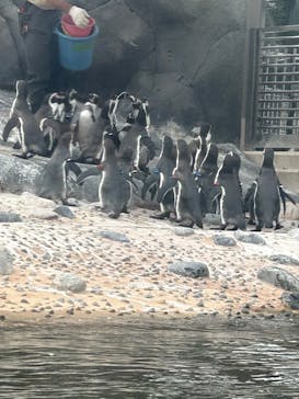 天王寺動物園に投稿された画像（2025/9/24）