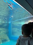 アクアワールド茨城県大洗水族館に投稿された画像（2025/9/24）