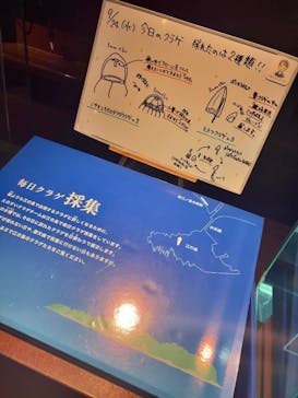 新江ノ島水族館に投稿された画像（2025/9/24）