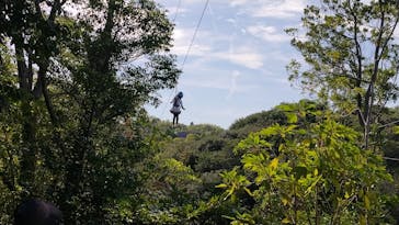 ニジゲンノモリに投稿された画像（2025/9/24）