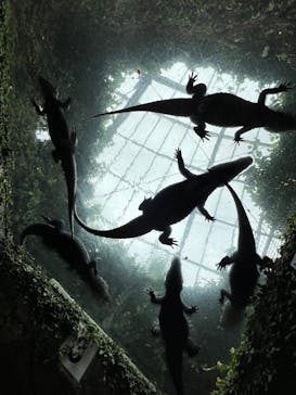 熱川バナナワニ園に投稿された画像（2025/9/24）