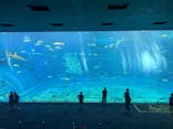 沖縄美ら海水族館に投稿された画像（2025/9/24）