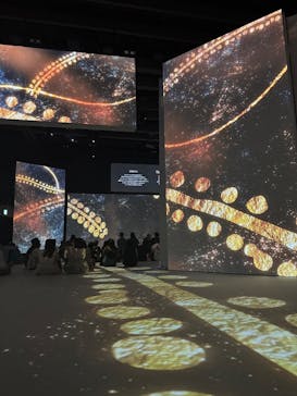 クリムト・アライブに投稿された画像（2025/9/24）