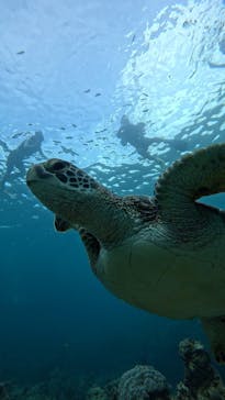  マリンショップHAPPYに投稿された画像（2025/9/24）