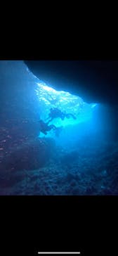 武藤潜水に投稿された画像（2025/9/24）