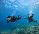 武藤潜水に投稿された画像（2025/9/24）