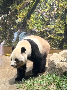 恩賜上野動物園に投稿された画像（2025/9/24）