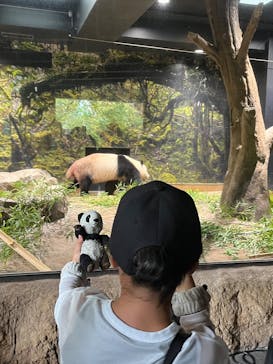 恩賜上野動物園に投稿された画像（2025/9/24）
