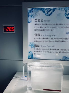 特別展「古代ＤＮＡ－日本人のきた道－」に投稿された画像（2025/9/24）