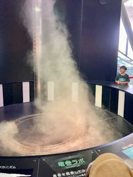 特別展「古代ＤＮＡ－日本人のきた道－」に投稿された画像（2025/9/24）