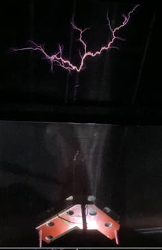 特別展「古代ＤＮＡ－日本人のきた道－」に投稿された画像（2025/9/24）