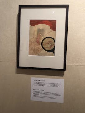 新宿歌舞伎町春画展ー文化でつむぐ「わ」のひととき。に投稿された画像（2025/9/24）
