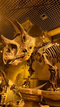 国立科学博物館に投稿された画像（2025/9/24）