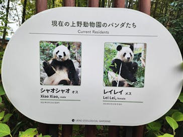 恩賜上野動物園に投稿された画像（2025/9/24）
