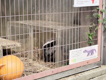 名古屋市東山動植物園に投稿された画像（2025/9/24）