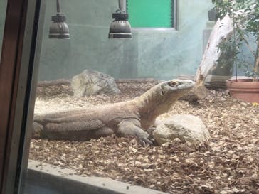 名古屋市東山動植物園に投稿された画像（2025/9/24）