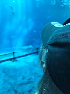 沖縄美ら海水族館に投稿された画像（2025/9/24）