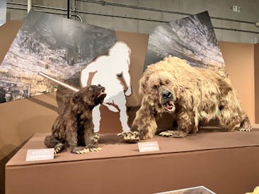 特別展「氷河期展 〜人類が見た4万年前の世界〜」（国立科学博物館）に投稿された画像（2025/9/24）