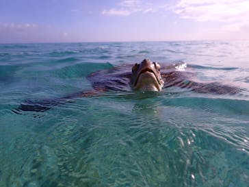 nico 宮古島に投稿された画像（2025/9/24）