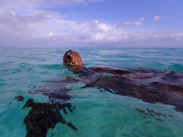 nico 宮古島に投稿された画像（2025/9/24）
