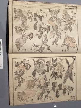 HOKUSAI－ぜんぶ、北斎のしわざでした。展に投稿された画像（2025/9/24）