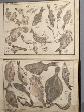 HOKUSAI－ぜんぶ、北斎のしわざでした。展に投稿された画像（2025/9/24）